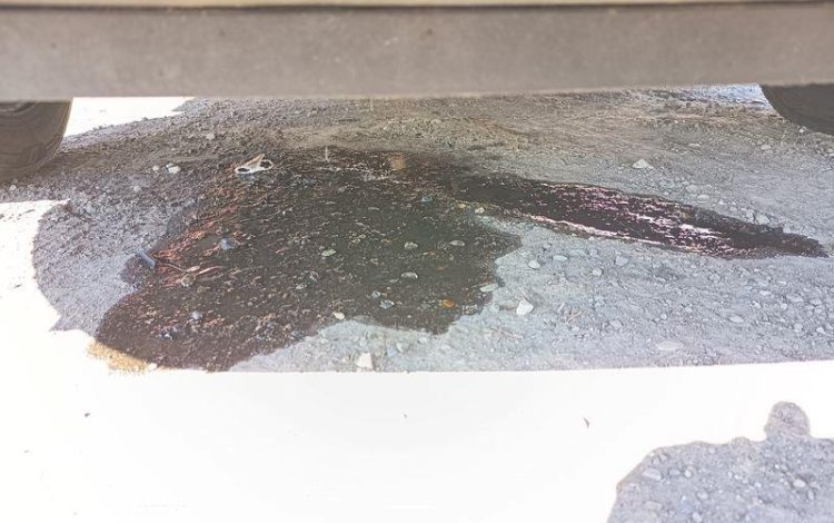 PEUGEOT PARTNER Utilitaire Phase 2 L1 850kg 1.6 Blue HDi FAP  S&S 99 cv – ANNEE 2016 BLEU EH-129-HH