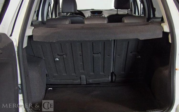 FORD ECOSPORT 1.0 SCTI 125CH TITANIUM SPORT BLANC ES-291-MV
