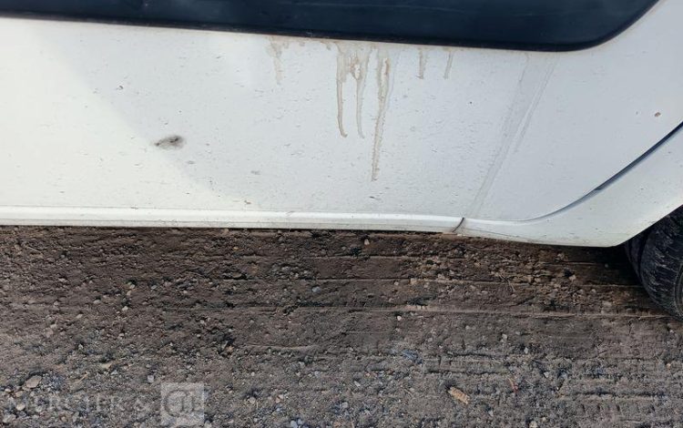 RENAULT KANGOO EXPRESS COMPACT GD CFT DCI 75 BLANC FM-672-LL