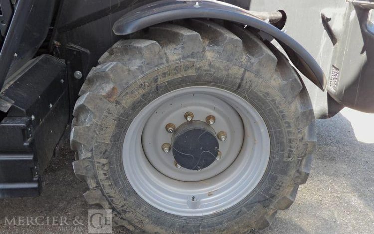 DIECI CHARIOT ELEVATEUR + FOURCHES + POTENCE JAUNE 6752