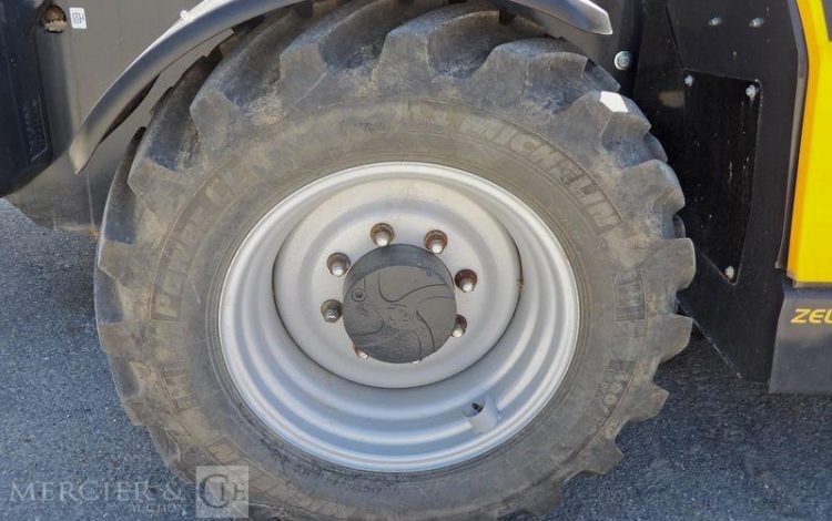 DIECI CHARIOT ELEVATEUR + FOURCHES + POTENCE JAUNE 6752