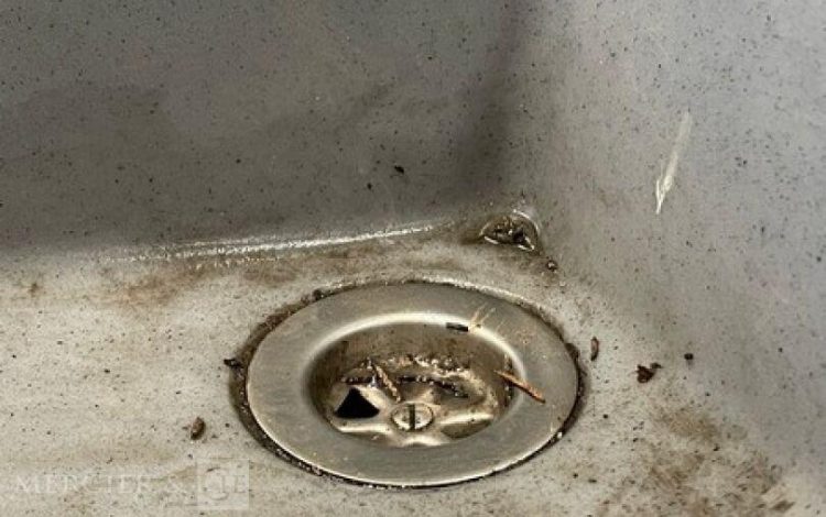 ATLAS HERA 2  16MAM42026