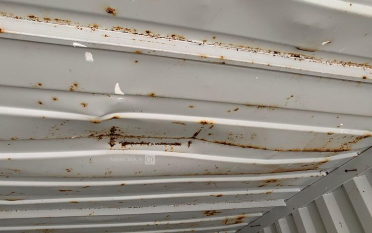 CONTAINEX LC20&Prime;  60550236