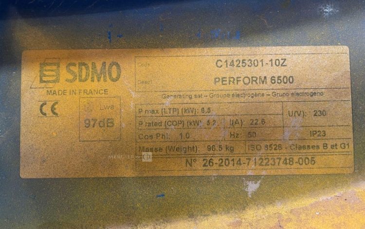 SDMO PERFORM 6500  GRO010823