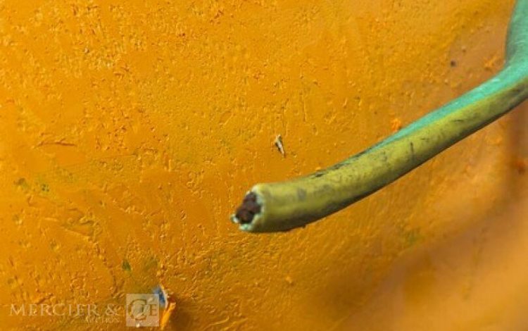 SDMO PERFORM 6500  GRO011008