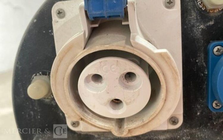 SDMO PERFORM 6500  GRO011008