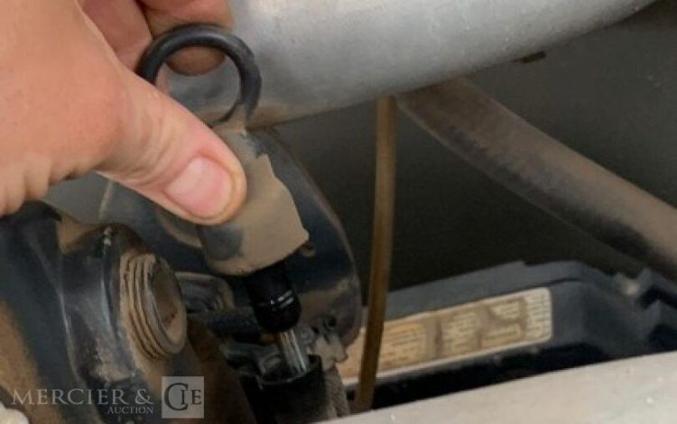 DIECI 175 VERSION LLL  52331707