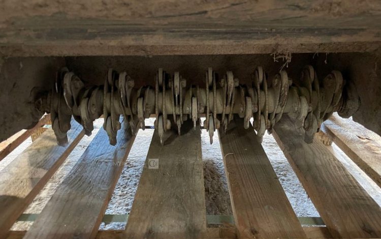 ELIET ELIET 501  77MAM42026