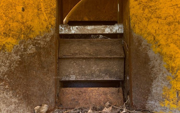 TIMBERWOLF TW 190TDHBA  BRO010086