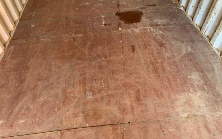 CONTAINEX LC20&Prime;  42601040