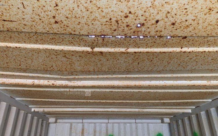 CONTAINEX LC20&Prime;  42601040