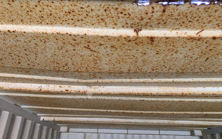 CONTAINEX LC20&Prime;  42601040