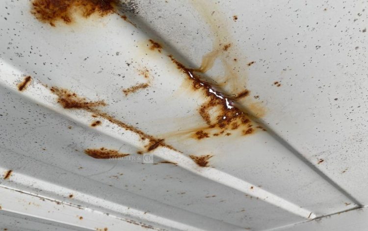 CONTAINEX LC20&Prime;  60551006