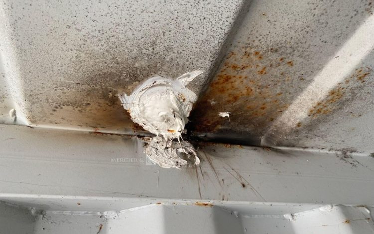 CONTAINEX LC20&Prime;  60551006