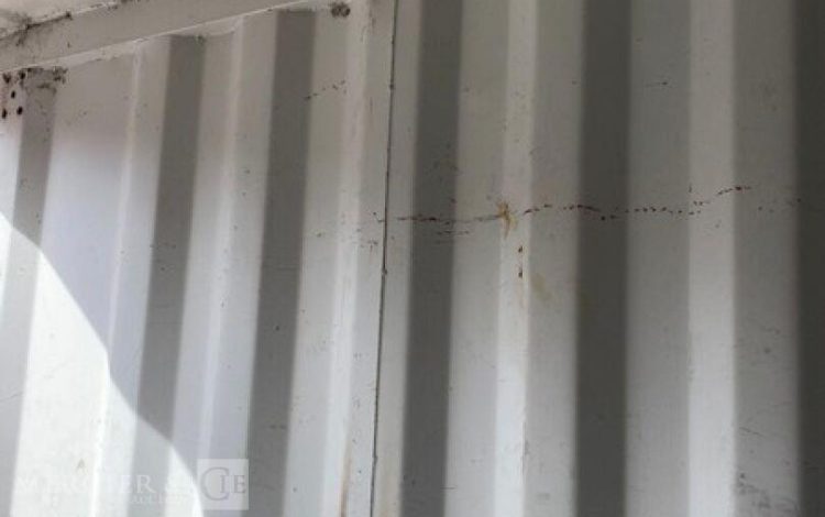 CONTAINEX LC20&Prime;  60551006