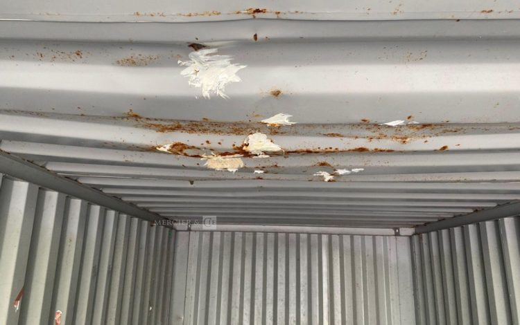 CONTAINEX LC20&Prime;  60552604