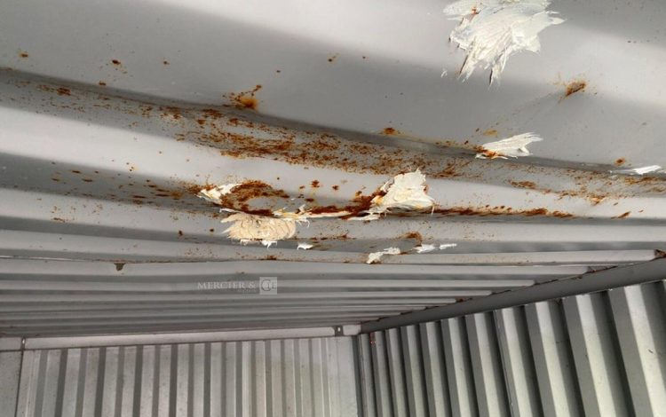 CONTAINEX LC20&Prime;  60552604