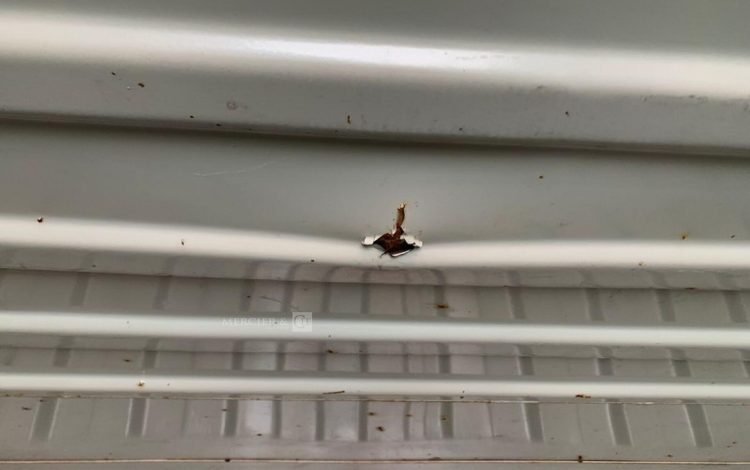 CONTAINEX LC20&Prime;  60550421