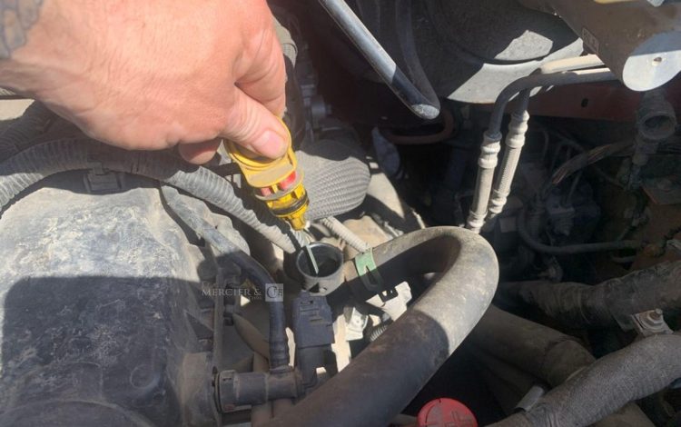 RENAULT MASTER / JPM  11436