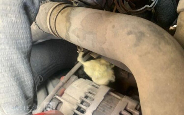 RENAULT MASTER / JPM  11436