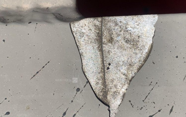 RENAULT MASTER / JPM  11436