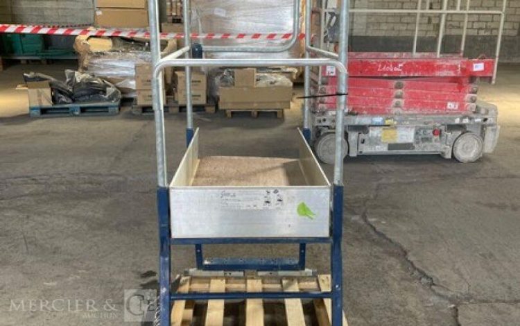 DUARIB GAZELLE  55MAM42026