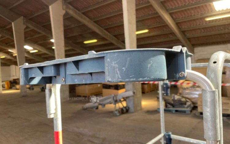 DUARIB GAZELLE  55MAM42026