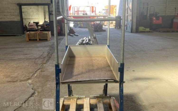 DUARIB GAZELLE  55MAM42026