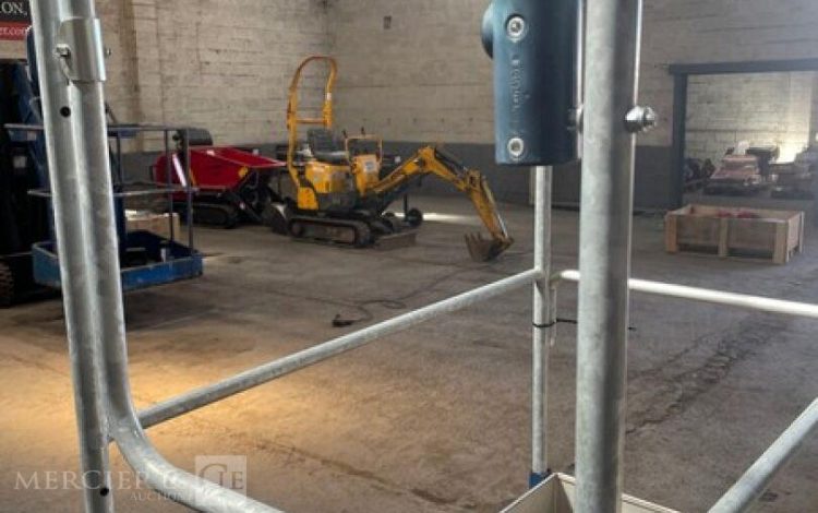 DUARIB GAZELLE  55MAM42026