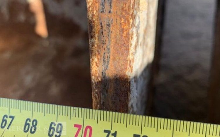 VOLVO ECR88D  PEL010319