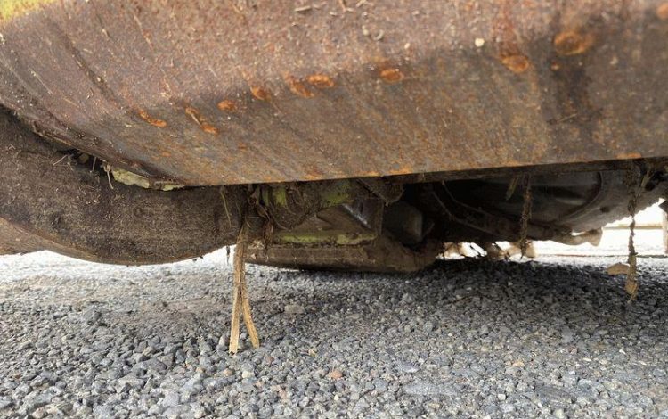 TETE DE COUPE ROTATIVE  6501760