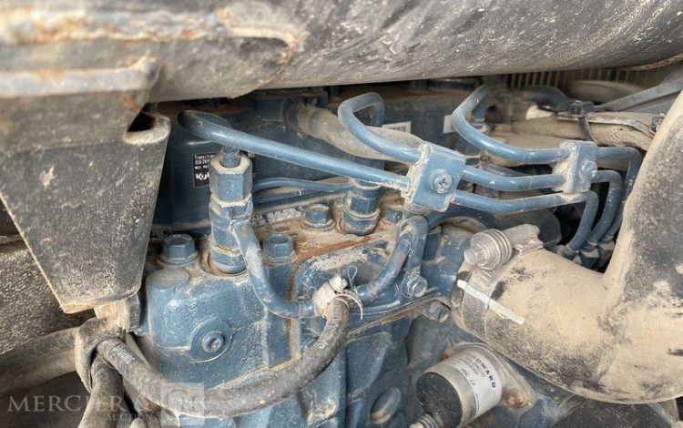 BOBCAT PELLE  ACRA17627