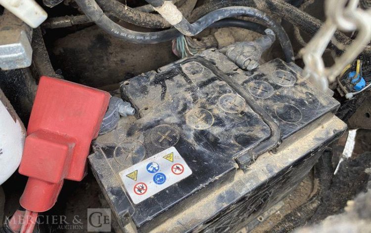 BOBCAT PELLE  ACRA17627