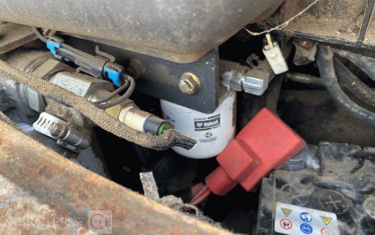 BOBCAT PELLE  ACRA17627