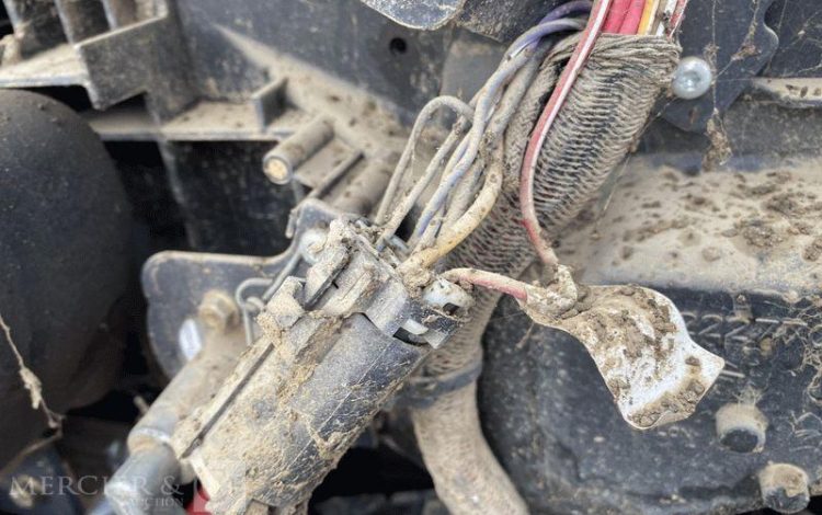 BOBCAT PELLE  ACRA17627