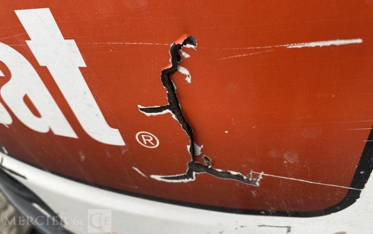 BOBCAT PELLE  ACRA17627