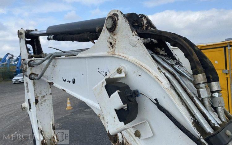 BOBCAT PELLE  ACRA17627