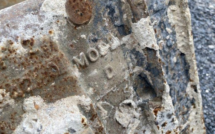 BOBCAT PELLE  ACRA17627