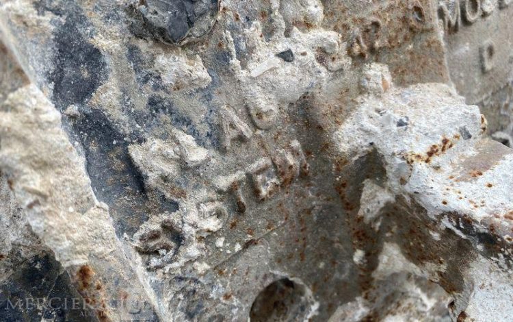 BOBCAT PELLE  ACRA17627