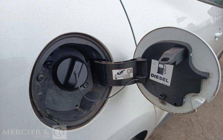 RENAULT CLIO BLANC EH-058-YM