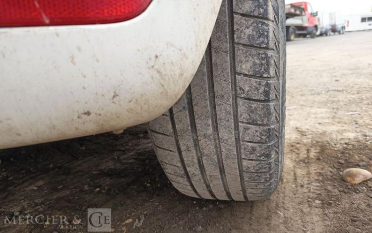 RENAULT CLIO BLANC EH-058-YM