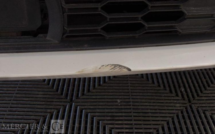 SKODA FABIA 1.0 MPI 75CH CLEVER BLANC FC-826-EK