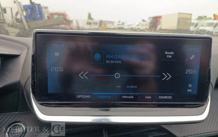 PEUGEOT 208 GRIS FL-675-TW