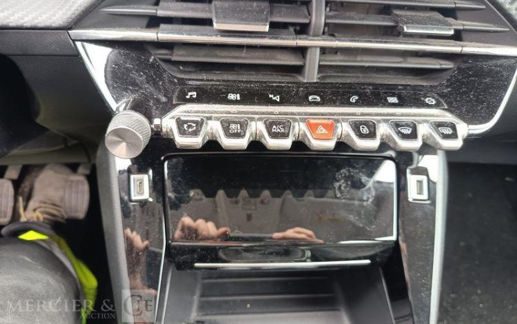 PEUGEOT 208 GRIS FL-675-TW