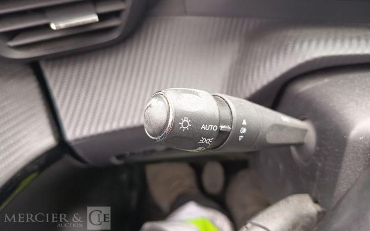 PEUGEOT 208 GRIS FL-675-TW