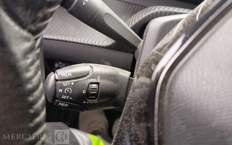 PEUGEOT 208 GRIS FL-675-TW