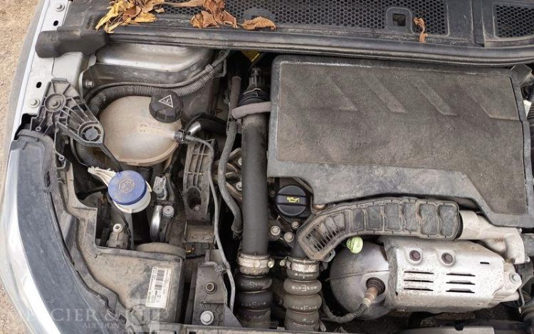 PEUGEOT 208 GRIS FL-675-TW