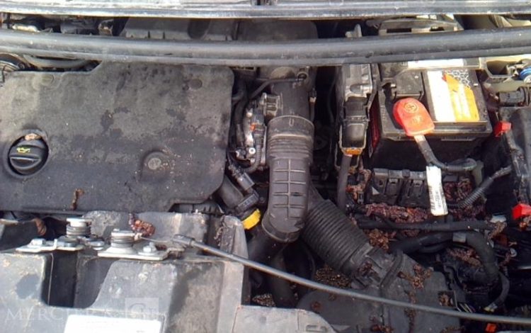 OPEL VIVARO M GRIS FZ-177-NJ