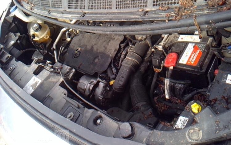 OPEL VIVARO M GRIS FZ-177-NJ