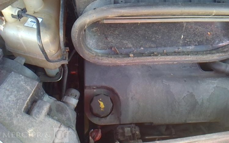 FIAT DUCATO MAXI XL H3 FRIGO  FZ-210-DC